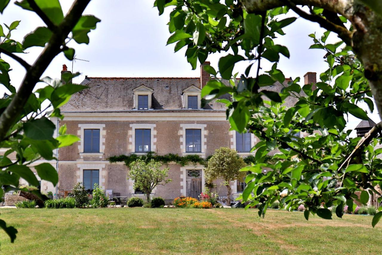 La Demeure De L'Aubance Bed and Breakfast Saint-Mélaine-sur-Aubance Buitenkant foto