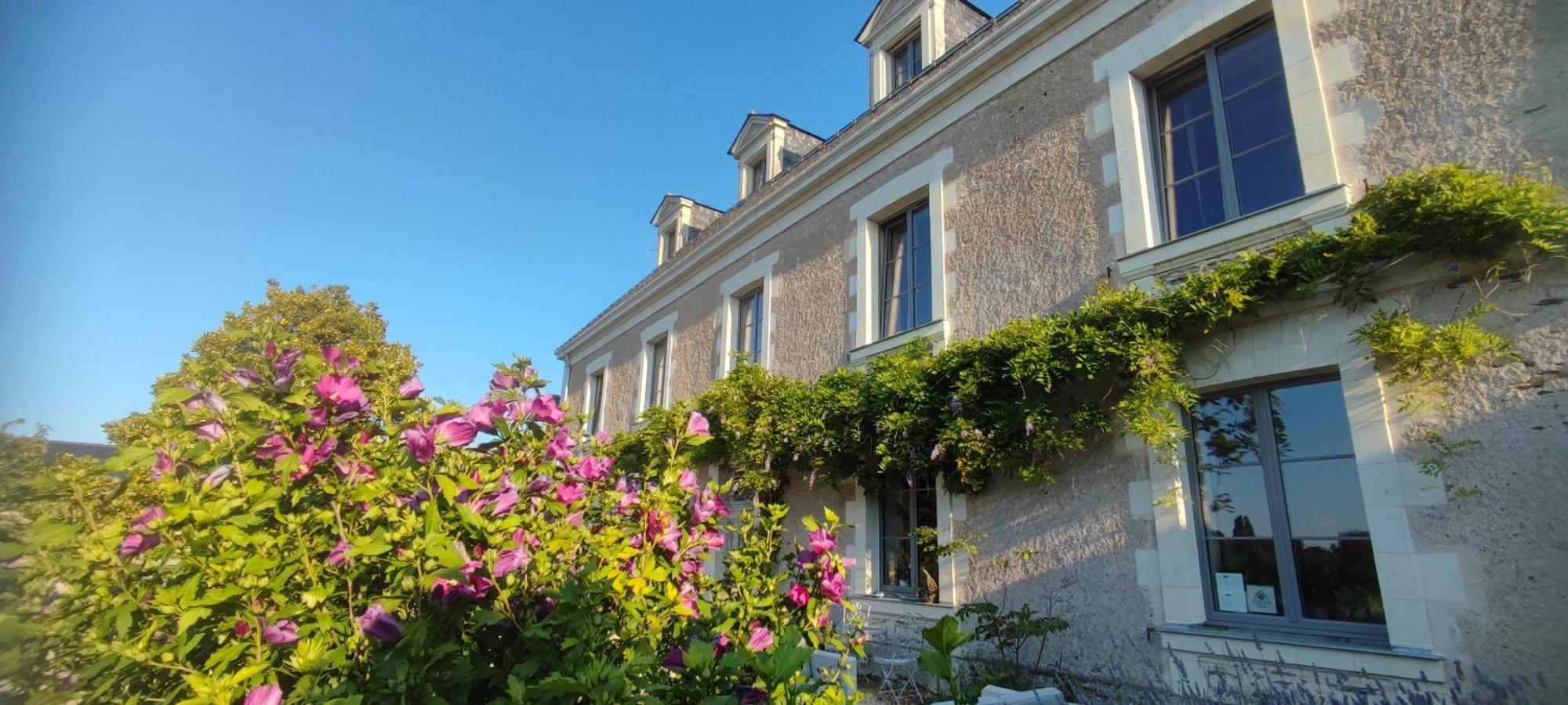 La Demeure De L'Aubance Bed and Breakfast Saint-Mélaine-sur-Aubance Buitenkant foto