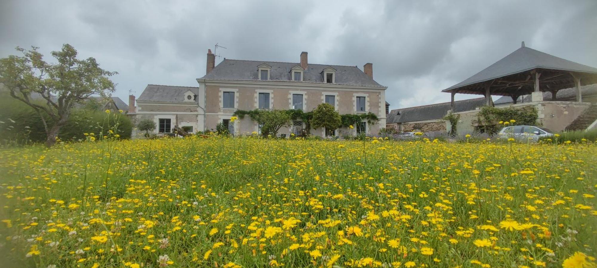 La Demeure De L'Aubance Bed and Breakfast Saint-Mélaine-sur-Aubance Buitenkant foto